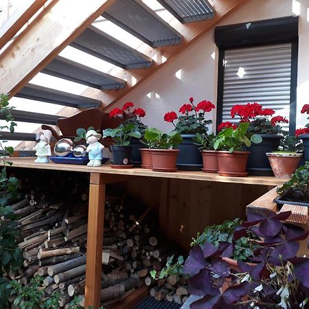 Apartchalet Sisi- Including Saalfelden Leogang Card Dış mekan fotoğraf