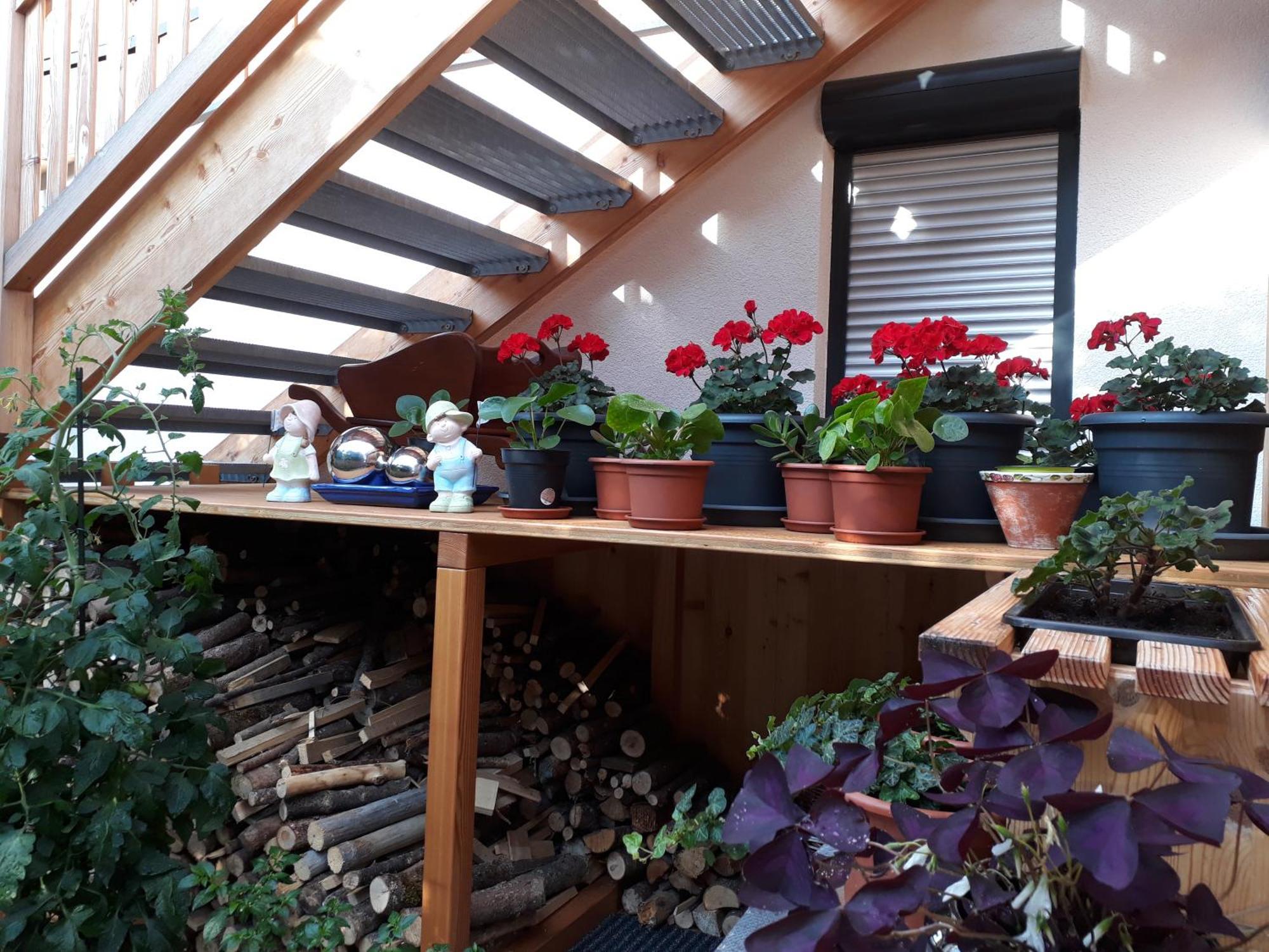 Apartchalet Sisi- Including Saalfelden Leogang Card Dış mekan fotoğraf